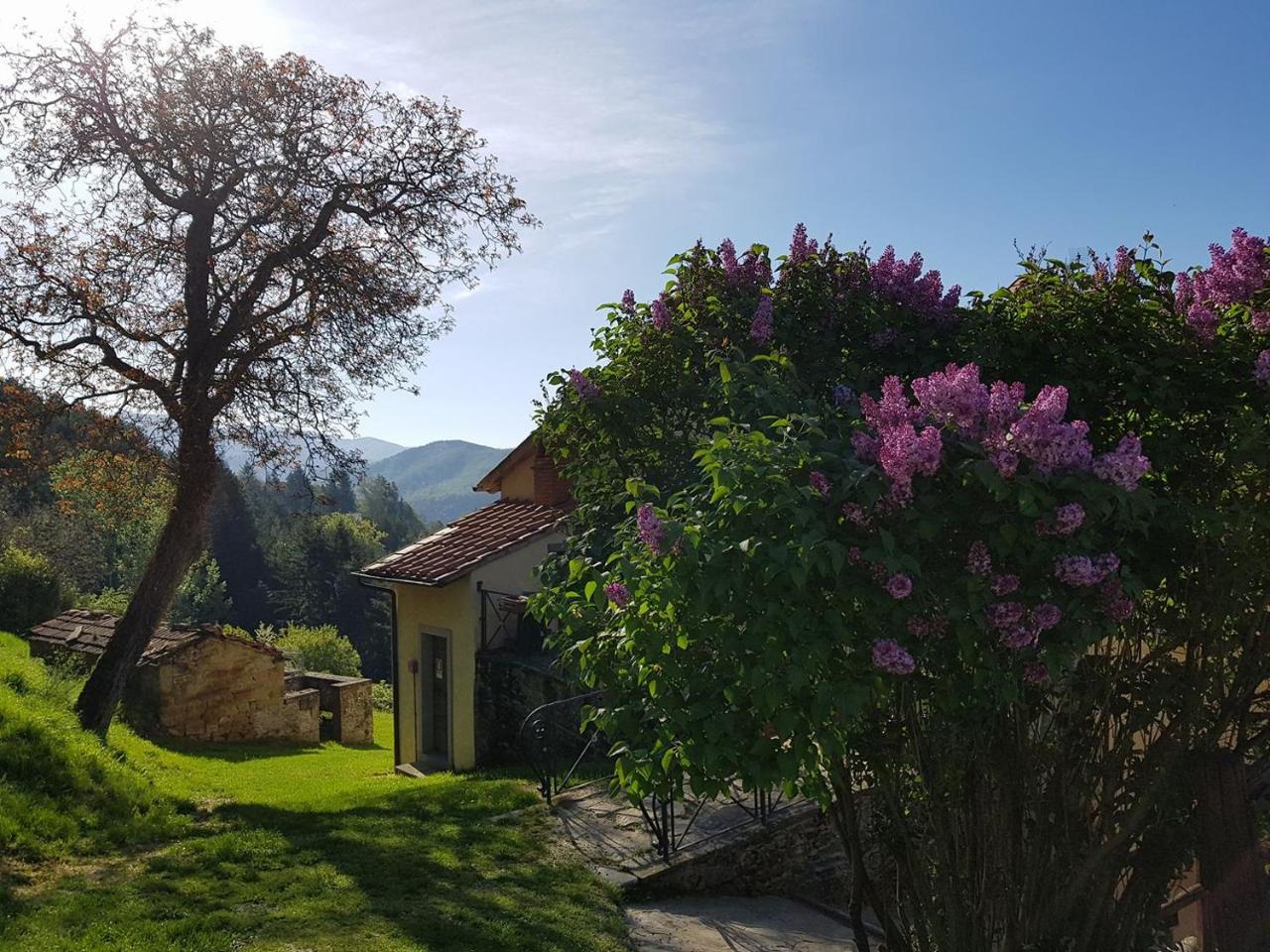 Borgo Tramonte Pratovecchio Exterior foto